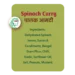Spinach Curry - Image 6