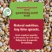Dehydrated Sprouted Matki - Image 3